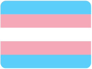 Transgender Flag