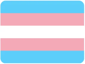 Transgender Flag