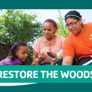 Clean Up Day 7 Restore The Woods Web